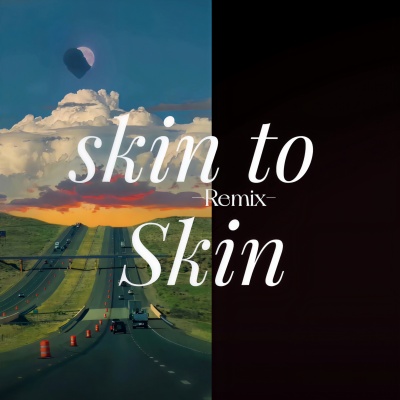 skin to Skin (Remix)