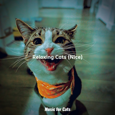 Music For Cats - Dream Like