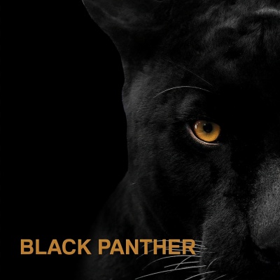 Black Panther (Explicit)