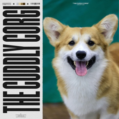 Sounds Dogs Love - Charge Slot