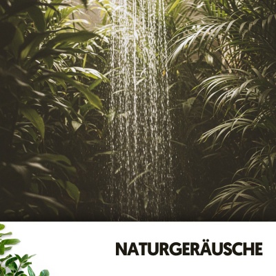 Naturgeräusche: Symphonie der Regentropfen