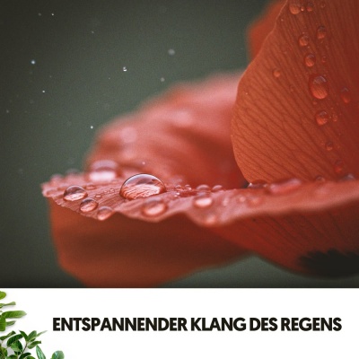 Ruido Blanco Hart - Friedliches Pitter-Patter
