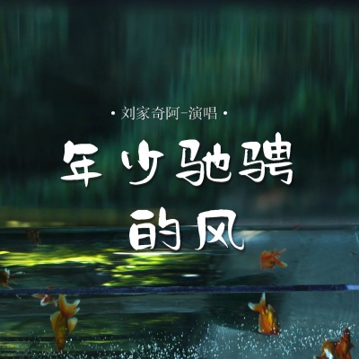 刘家奇阿 - 年少驰骋的风