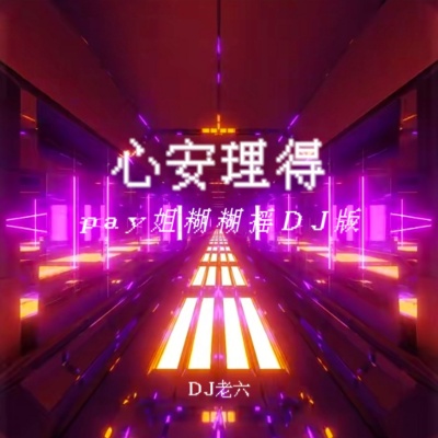 心安理得 (pay姐糊糊摇DJ版)