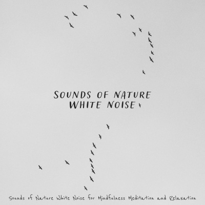 Sounds of Nature White Noise