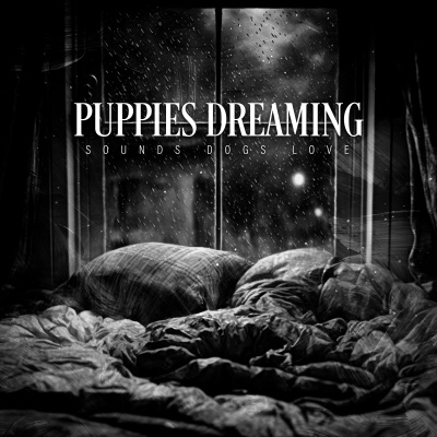 Sounds Dogs Love - Lenient Detailed