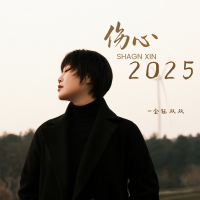 伤心2025