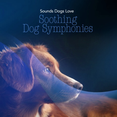 Sounds Dogs Love - Water Relieve
