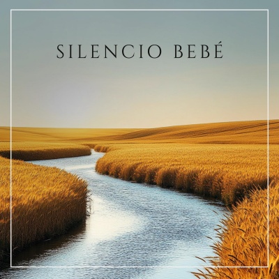 Silencio Bebé - Brisa Cálida