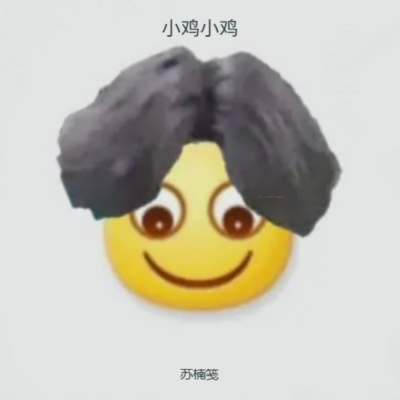 苏楠笺 - 小鸡小鸡