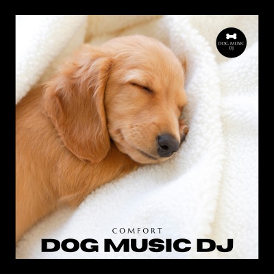 Relaxing Piano For Pets - Music For Dogs