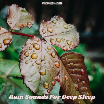 Rain Sounds for Sleep - Cozy Morning Rain