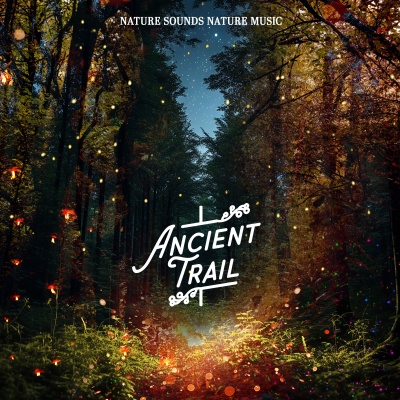 Nature Sounds Nature Music - Conversation Now