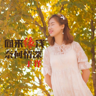 于洋 - 向来缘浅奈何情深