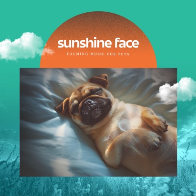 Calming Music For Pets - Snowstorm Lull
