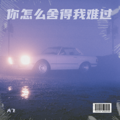 大飞 - 你怎么舍得我难过