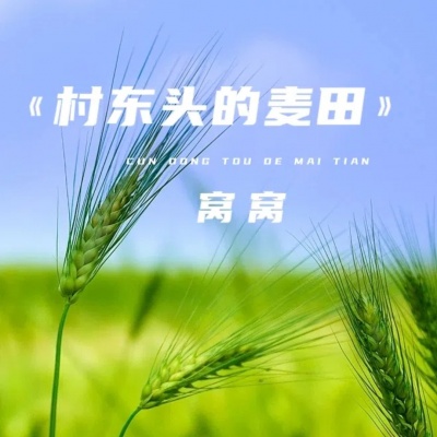 窝窝 - 村东头的麦田