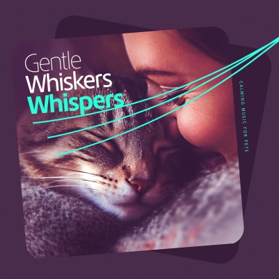 Calming Music For Pets - Tails Tabby