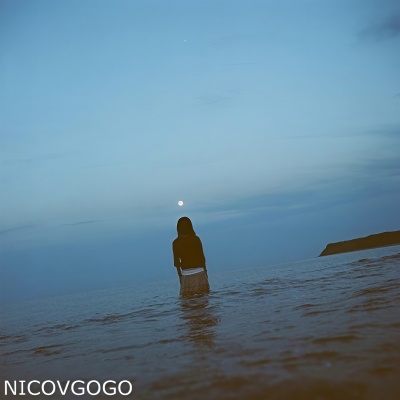 NicovGogo - 卡农