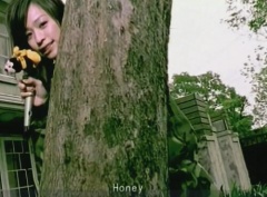 王心凌 - Honey