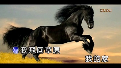 庞龙 - 黑骏马