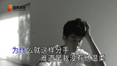 刘朝林 - 为什么就这样分手