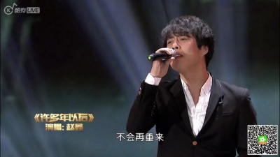 赵鑫 - 许多年以后