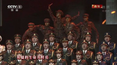 王芳 - 英雄赞歌