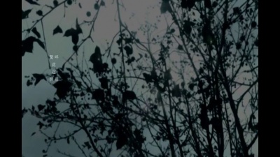 魏如萱 - 陨石