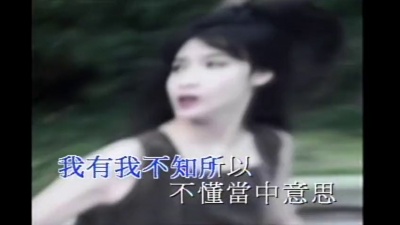 周慧敏 - 会错意