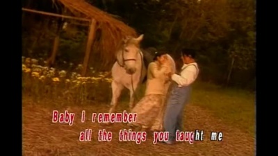 杜德伟、林忆莲 - You Don t Bring Me Flower