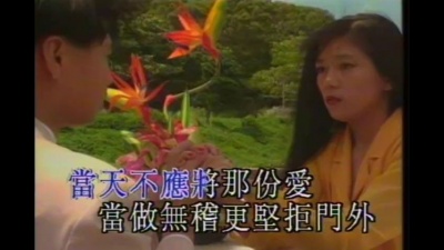 蔡国权 - 不应再犹豫