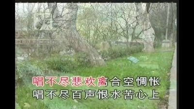 周璇 - 街头月
