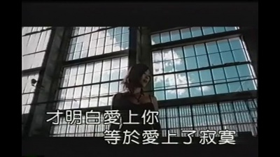 那英 - 爱上你等于爱上寂寞