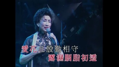 潘迪华 - 月满西楼