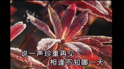 邓丽君 - 说一声再见