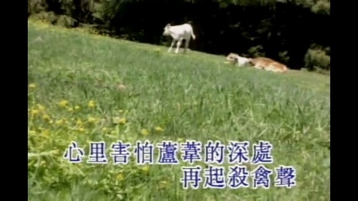 陈百强 - 孤雁