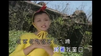 王雪晶 - 大公鸡
