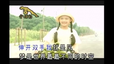 王雪晶 - 豆豆龙