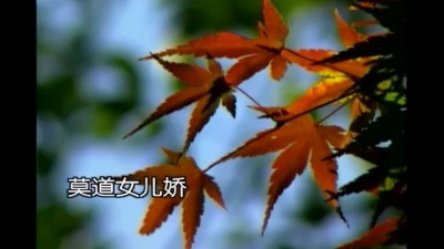 董文华 - 牧羊曲