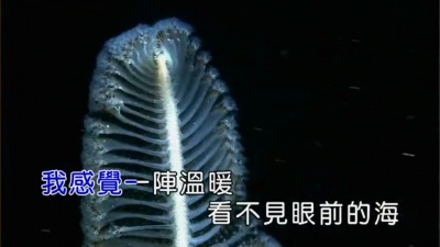 蔡健雅 - 很靠近海