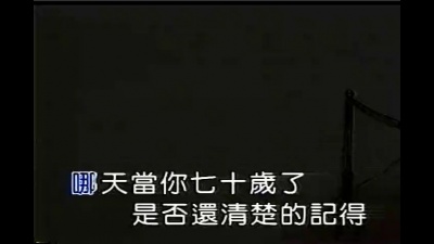 张惠妹 - 下一个人