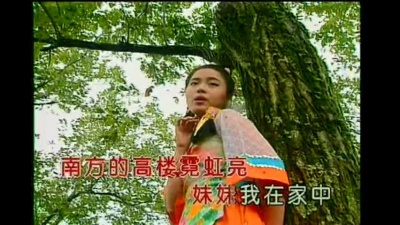 陈思思、谭耀军 - 情哥去南方
