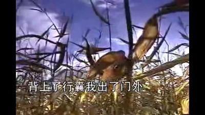 黑龙 - 实实在在