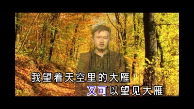 肖晨 - 大雁