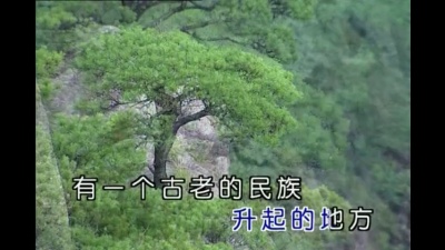 王宏伟 - 中华情