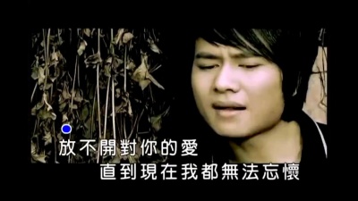 欢子 - 爱到疯
