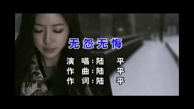 陆平 - 无怨无悔