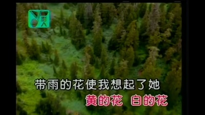 高胜美 - 泪的小花