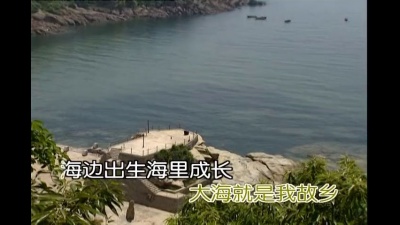 董文华 - 大海啊故乡